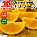 【予約】 セミノール 箱込 10kg (内容量約 9.2kg) 秀品優品混合 サイズミックス 和歌山県産 セミノールオレンジ 初夏 みかん10キロ 春みかん 旬の果物 旬のフルーツ 柑橘系 果物 旬 ギフト 甘いみかん 産地直送 オレンジ ミカン 蜜柑 甘い 【みかんの会】 4月下旬より出荷(4)