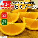 セミノール 箱込 7.5kg (内容量約 6.8kg ) 秀品優品混合 サイズミックス 和歌山県産 産地直送 オレンジ ミカン 蜜柑 mikan 甘い 果汁 【みかんの会】 4月下旬より出荷(4)