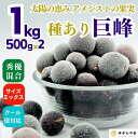 冷凍 種あり 巨峰 1kg 秀優混合 サイズミックス 和歌山県産 産地直送 ぶどう 冷凍フルーツ 国産 冷凍果物 冷凍ぶどう 葡萄 ブドウ フローズンフルーツ ...