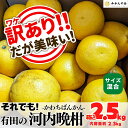 河内晩柑 訳あり 箱込 2.5kg (内容量約 2.3kg) サイズミックス 和歌山県産 かわちばんかん 初夏 みかん3キロ 夏みかん 旬の果物 旬のフルーツ 柑橘系 果物 旬 ギフト 甘いみかん 産地直送 オレンジ ミカン 蜜柑 甘い 【みかんの会】