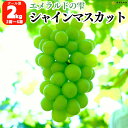 シャインマスカット 有田巨峰村 2kg ( 2房 ~ 6房 ) 和歌山県産 産地直送 シャインマスカット通販 フルーツ ぶどう 皮ごと食べられるぶどう シャイン マスカット 大粒 高級 お取り寄せ 美味しい 皮ごと ギフト 家庭用 直送 高級シャインマスカット クール便対応【みかんの会】