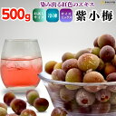 冷凍 紫小梅 500g 秀優混合 サイズミックス 紅紫色 梅 和歌山県産 紀州 有田 小梅 パープルクイーン パープルクィーン 冷凍梅 和歌山 販売 手作り 梅ジュース 梅シロップ ジュース用 梅酒用 梅酒用梅 梅シロップ用の梅 アントシアニン クール便 2025年7月初旬より出荷