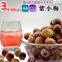 冷凍 紫小梅 3kg (500g×6袋) 秀優混合 サイズミックス 紅紫色 梅 和歌山県産 紀州 有田 小梅 パープルクイーン パープルクィーン 冷凍梅 和歌山 販売 手作り 梅ジュース 梅シロップ ジュース用 梅酒用 梅酒用梅 梅シロップ用の梅 アントシアニン クール便