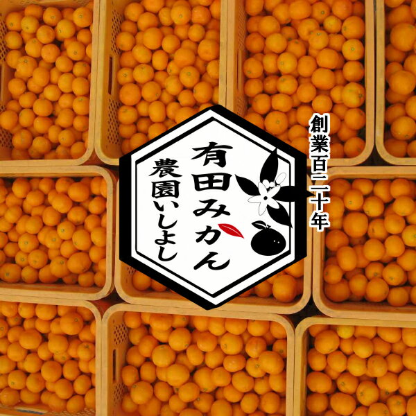 みかん 5kg 小玉 送料無料 創業120年農家直送の最高級 有田みかん ちっちゃくて甘い! プチみかん 小粒 SS 3s 和歌山県 有田産 温州みかん ミカン 蜜柑 農園直送 美味しい ランキング入賞 ノーワックス 果物 フルーツ 【ギフト対応不可】