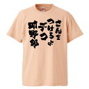 おもしろtシャツ みか