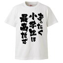 おもしろtシャツ みかん箱 まったく小学生は最高だぜ 【ギフト プレゼント 面白いtシャツ メンズ 半袖 文字Tシャツ 漢字 雑貨 名言 パロディ おもしろ 全20色 サイズ S M L XL XXL】