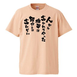 おもしろtシャツ みかん箱 人から言われてやった練習は努力とは言わない 【ギフト プレゼント 面白いtシャツ メンズ 半袖 文字Tシャツ 漢字 雑貨 名言 パロディ おもしろ 全20色 サイズ S M L XL XXL】