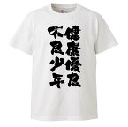 おもしろtシャツ みかん箱 健康優良不良少年 【ギフト プレゼント 面白いtシャツ メンズ 半袖 文字Tシャツ 漢字 雑貨 名言 パロディ おもしろ 全20色 サイズ S M L XL XXL】