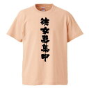 おもしろtシャツ みかん箱 彼女募集中 【ギフト プレゼント 面白いtシャツ メンズ 半袖 文字Tシャツ 漢字 雑貨 名言 パロディ おもしろ 全20色 サイズ...