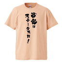 おもしろtシャツ みかん箱 貧乳はステータスだ! 【ギフト プレゼント 面白いtシャツ メンズ 半袖 文字Tシャツ 漢字 雑貨 名言 パロディ おもしろ 全20...