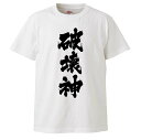 おもしろtシャツ みかん箱 破壊神 【ギフト プレゼント 面白いtシャツ メンズ 半袖 文字Tシャツ 漢字 雑貨 名言 パロディ おもしろ 全2..