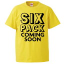 パロディTシャツ おもしろtシャツ みかん箱 SIX PACK COMING SOON 【ギフト プレゼント 面白いtシャツ メンズ 半袖 文字Tシャツ 漢字 雑貨 名言 パロディ おもしろ 全20色 サイズ S M L XL XXL】