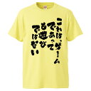 おもしろtシャツ みかん箱 これは ゲームであっても遊びではない 【ギフト プレゼント 面白いtシャツ メンズ 半袖 文字Tシャツ 漢字 雑貨 名言 パロディ おもしろ 全20色 サイズ S M L XL XXL】