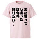 おもしろtシャツ みかん箱 また勝ってしまった敗北を知りたい 【ギフト プレゼント 面白いtシャツ メンズ 半袖 文字Tシャツ 漢字 雑貨 名言 パロディ おも...