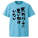 おもしろTシャツ 天然パーマに悪いやつはいない ギフト プレゼント 面白 メンズ 半袖 無地 漢字 雑貨 名言 パロディ 文字