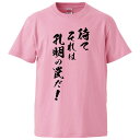 おもしろtシャツ みかん箱 待てそれは孔明の罠だ 【ギフト プレゼント 面白いtシャツ メンズ 半袖 文字Tシャツ 漢字 雑貨 名言 パロディ おもしろ 全20色 サイズ S M L XL XXL】