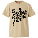 おもしろtシャツ みか