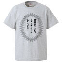 おもしろtシャツ みかん箱 駄目だこいつ… 早く なんとかしないと 【ギフト プレゼント 面白いtシャツ メンズ 半袖 文字Tシャツ 漢字 雑貨 名言 パロディ...