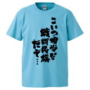 おもしろtシャツ みかん箱 こいつ相当戦闘民族だぞ… 【ギフト プレゼント 面白いtシャツ メンズ 半袖 文字Tシャツ 漢字 雑貨 名言 パロディ おもしろ 全20色 サイズ S M L XL XXL】