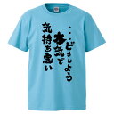 おもしろtシャツ みかん箱 ・・・どうしよう本気で気持ち悪い 【ギフト プレゼント 面白いtシャツ メンズ 半袖 文字Tシャツ 漢字 雑貨 名言 パロディ おもしろ 全20色 サイズ S M L XL XXL】