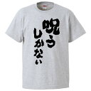おもしろTシャツ 呪うしかない ギフト プレゼント 面白 メンズ 半袖 無地 漢字 雑貨 名言 パロディ 文字