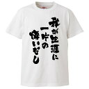 おもしろtシャツ みかん箱 我が生涯に一片の悔いなし 【ギフト プレゼント 面白いtシャツ メンズ 半袖 文字Tシャツ 漢字 雑貨 名言 パロディ おもしろ 全20色 サイズ S M L XL XXL】