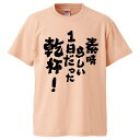 おもしろtシャツ みかん箱 素晴らしい1日だった乾杯 【ギフト プレゼント 面白いtシャツ メンズ 半袖 文字Tシャツ 漢字 雑貨 名言 パロディ おもしろ 全...