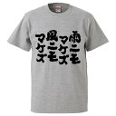 おもしろtシャツ みかん箱 雨ニモマケズ風ニモマケズ 【ギフト プレゼント 面白いtシャツ メンズ 半袖 文字Tシャツ 漢字 雑貨 名言 パロディ おもしろ 全20色 サイズ S M L XL XXL】