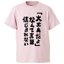 おもしろTシャツ 「大丈夫だよ」なんて言葉信じられない ギフト プレゼント 面白 メンズ 半袖 無地 漢字 雑貨 名言 パロディ 文字