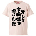 おもしろtシャツ みかん箱 オレは今機嫌が悪いんだ 【ギフト プレゼント 面白いtシャツ メンズ 半袖 文字Tシャツ 漢字 雑貨 名言 パロディ おもしろ 全20色 サイズ S M L XL XXL】