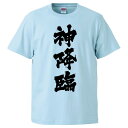 おもしろTシャツ 神降臨 ギフト プレゼント 面白 メンズ 半袖 無地 漢字 雑貨 名言 パロディ 文字