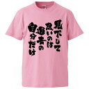 おもしろtシャツ みかん箱 見下して良いのは過去の自分だけ 【ギフト プレゼント 面白いtシャツ メンズ 半袖 文字Tシャツ 漢字 雑貨 名言 パロディ おもし...