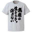 おもしろtシャツ みかん箱 馬鹿は生きなきゃ治らない 