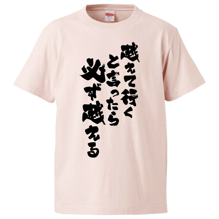 おもしろtシャツ みかん箱 越えて行くと言ったら 必ず越える 【ギフト プレゼント 面白いtシャツ メンズ 半袖 文字Tシャツ 漢字 雑貨 名言 パロディ おもしろ 全20色 サイズ S M L XL XXL】