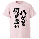 おもしろtシャツ みかん箱 ハゲで何が悪い 【ギフト プレゼント 面白いtシャツ メンズ 半袖 文字Tシャツ 漢字 雑貨 名言 パロディ おもしろ 全20色 サ...