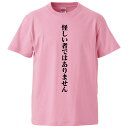 おもしろTシャツ 怪しい者ではありません ギフト プレゼント 面白 メンズ 半袖 無地 漢字 雑貨 名言 パロディ 文字