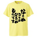 おもしろtシャツ みかん箱 ならぬことはならぬものです 【ギフト プレゼント 面白いtシャツ メンズ 半袖 文字Tシャツ 漢字 雑貨 名言 パロディ おもしろ ...