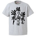 おもしろtシャツ みかん箱 逆風も振り向けば追風！ 【ギフト プレゼント 面白いtシャツ メンズ 半袖 文字Tシャツ 漢字 雑貨 名言 パロディ おもしろ 全20色 サイズ S M L XL XXL】