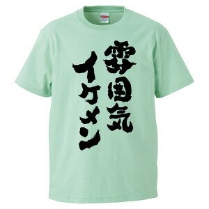 おもしろtシャツ みかん箱 雰囲気イケメン 【ギフト プレゼント 面白いtシャツ メンズ 半袖 文字Tシャツ 漢字 雑貨 名言 パロディ おもしろ 全20色 サイズ S M L XL XXL】