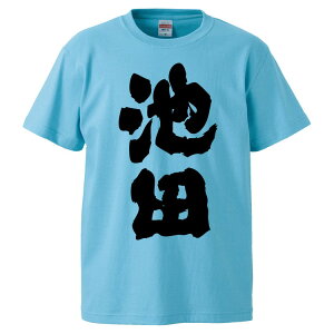 おもしろtシャツ みかん箱 池田 【ギフト プレゼント 面白いtシャツ メンズ 半袖 文字Tシャツ 漢字 雑貨 名言 パロディ おもしろ 全20色 サイズ S M L XL XXL】