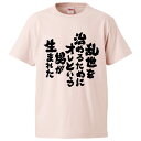 おもしろtシャツ みかん箱 乱世を治めるためにオレという男が生まれた 【ギフト プレゼント 面白いtシャツ メンズ 半袖 文字Tシャツ 漢字 雑貨 名言 パロディ おもしろ 全20色 サイズ S M L XL XXL】