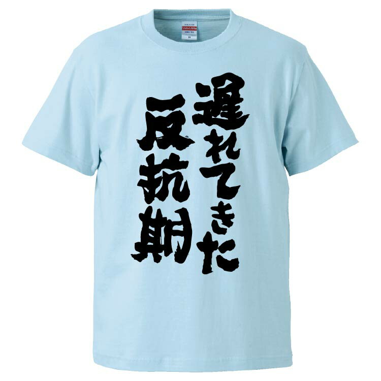 おもしろtシャツ みかん箱 遅れてきた反抗期 【ギフト プレゼント 面白いtシャツ メンズ 半袖 文字Tシャツ 漢字 雑貨 名言 パロディ おもしろ 全20色 サイズ S M L XL XXL】