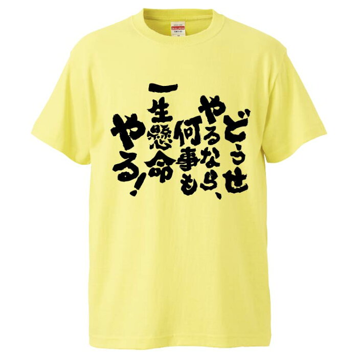 おもしろtシャツ みかん箱 どうせやるなら、何事も一生懸命やる 【ギフト プレゼント 面白いtシャツ メンズ 半袖 文字Tシャツ 漢字 雑貨 名言 パロディ おもしろ 全20色 サイズ S M L XL XXL】