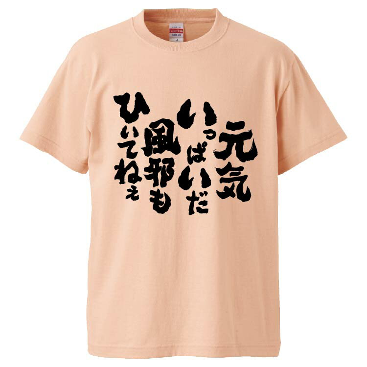 おもしろtシャツ みかん箱 元気いっぱいだ風邪もひいてねぇ 【ギフト プレゼント 面白いtシャツ メンズ 半袖 文字Tシャツ 漢字 雑貨 名言 パロディ おもしろ 全20色 サイズ S M L XL XXL】