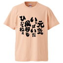 おもしろtシャツ みかん箱 元気いっぱいだ風邪もひいてねぇ 【ギフト プレゼント 面白いtシャツ メンズ 半袖 文字Tシャツ 漢字 雑貨 名言 パロディ おもしろ 全20色 サイズ S M L XL XXL】