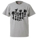おもしろtシャツ みかん箱 勘違いするな、学歴のせいにするな、プライドを捨てろ。 【ギフト プレゼント 面白いtシャツ メンズ 半袖 文字Tシャツ 漢字 雑貨 名言 パロディ おもしろ 全20色 サイズ S M L XL XXL】