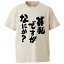 おもしろtシャツ みかん箱 貧乳ですがなにか? 【ギフト プレゼント 面白いtシャツ メンズ 半袖 文字Tシャツ 漢字 雑貨 名言 パロディ おもしろ 全20色 サイズ S M L XL XXL】 2,180円