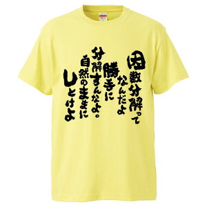 おもしろtシャツ みかん箱 因数分解ってなんだよ　勝手に分解すんなよ。自然のままにしとけよ 【ギフト プレゼント 面白いtシャツ メンズ 半袖 文字Tシャツ 漢字 雑貨 名言 パロディ おもしろ 全20色 サイズ S M L XL XXL】