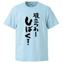 おもしろtシャツ みか