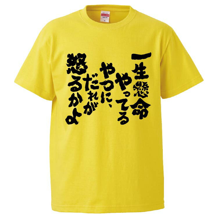 おもしろtシャツ みかん箱 一生懸命やってるやつに、だれが怒るかよ 